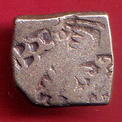 ANCIENT INDIA MAURYAN PERIOD ANIMAL STANDING MAGADH  -  s6070