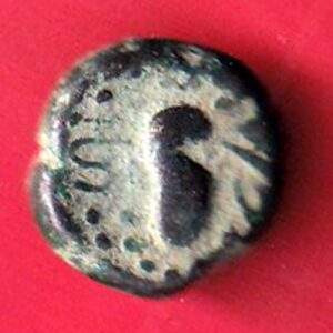 Ancient India Gadhaya Dynasty Kings Portrait BEAUTIFUL COIN  - S7128