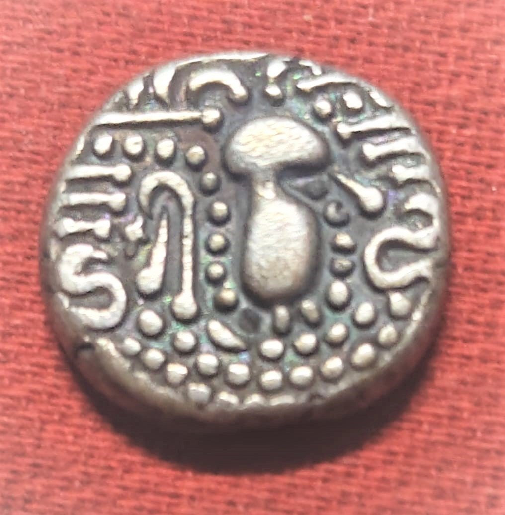 ANCIENT INDIA INDO SASSANAIN TYPE GADHAYA DYNASTY KING PORTRAIT RARE